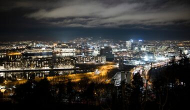 Norgespris, Elvia | Norgespris-effekten: Kuttet strømforbruket mindre i desember