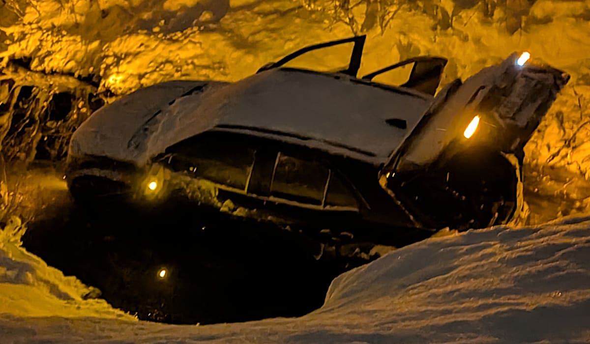 Bil med fire personer havnet i elva: – Så elg midt i veien