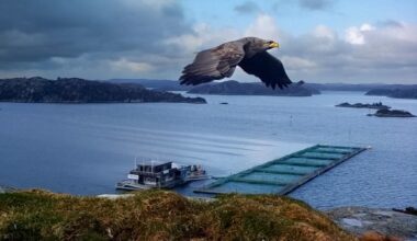 – Vi ønsker å fortsette i bransjen, og stå imot konsolideringstrenden