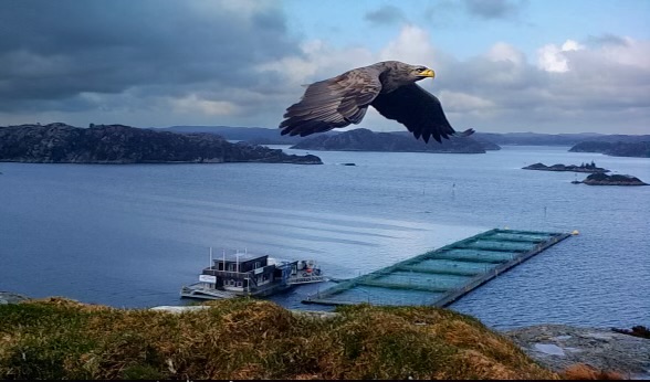 – Vi ønsker å fortsette i bransjen, og stå imot konsolideringstrenden