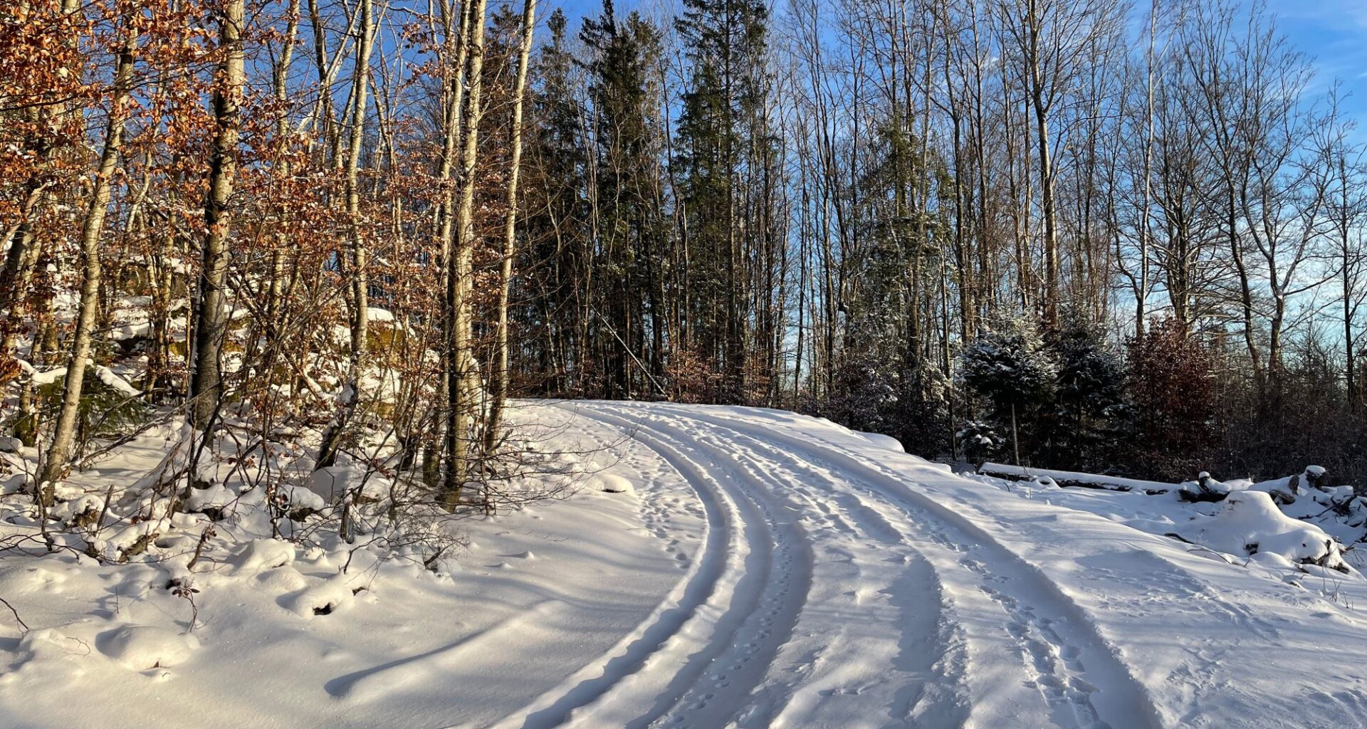 Vær, Vinter | Først kommer en kald vind fra nordøst – så blir det knallvær