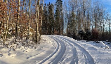 Vær, Vinter | Først kommer en kald vind fra nordøst – så blir det knallvær