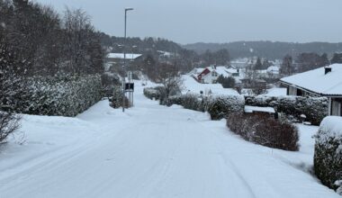 Ulykker og hendelser, Nøtterøy | Stakk av med rådyr sykkel, men én ting hadde de ikke tenkt på …