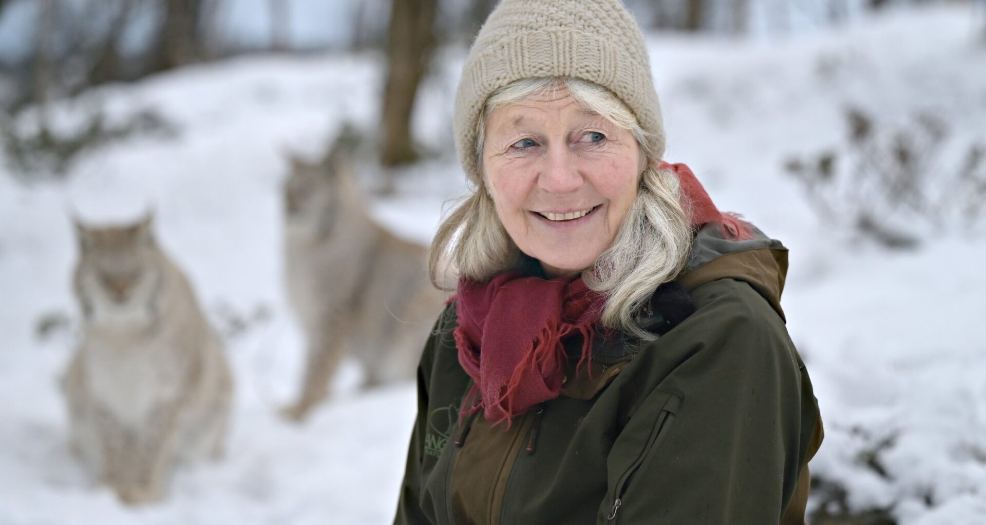 Darbu, Eiker | Ønsket seg gaupa som ble avlivet: – Bebreider dem ikke - Drammens Tidende