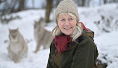 Darbu, Eiker | Ønsket seg gaupa som ble avlivet: – Bebreider dem ikke - Drammens Tidende