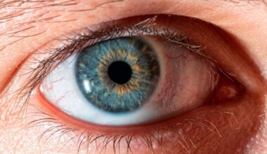 Stor studie med 45 000 mennesker: Her er gruppene som skårer høyest på narsissistiske trekk