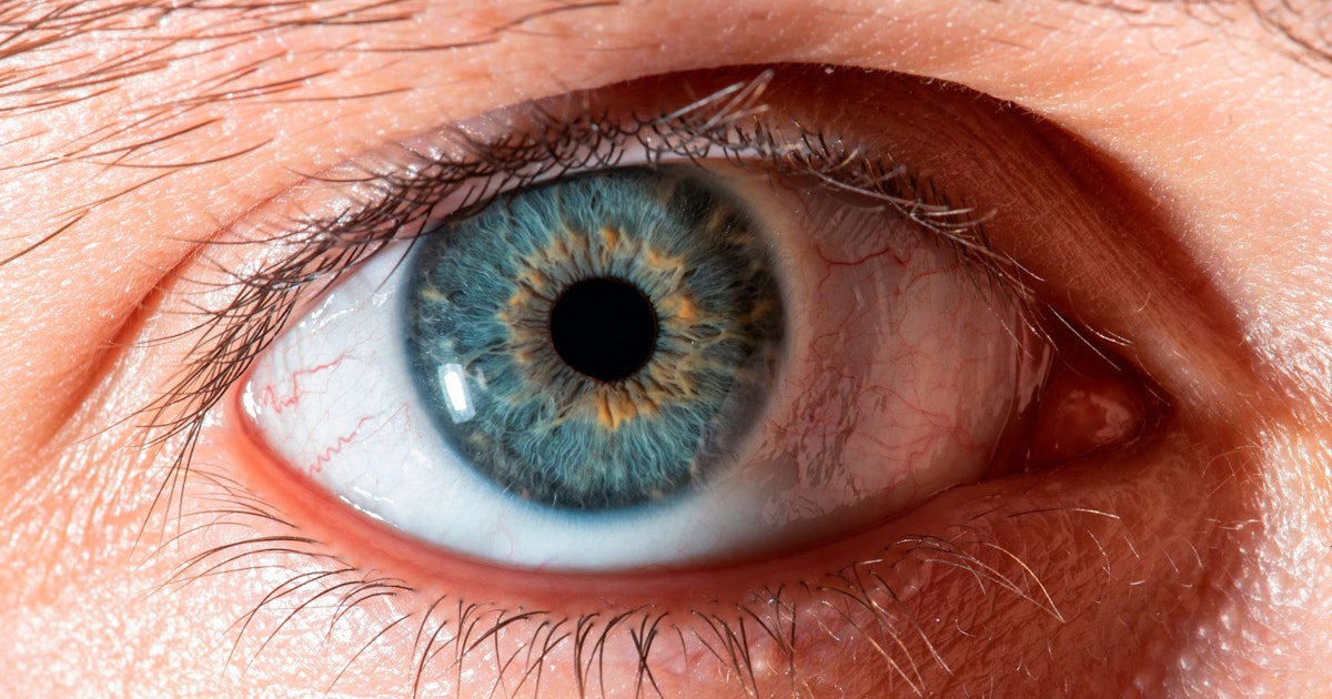 Stor studie med 45 000 mennesker: Her er gruppene som skårer høyest på narsissistiske trekk