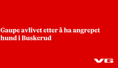 Gaupe avlivet etter å ha angrepet hund i Buskerud