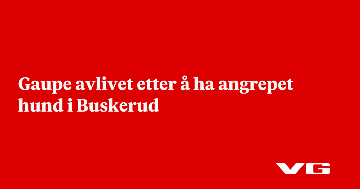 Gaupe avlivet etter å ha angrepet hund i Buskerud
