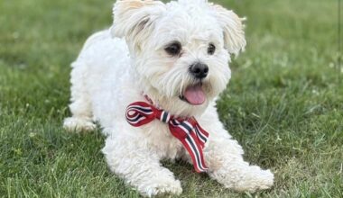 Nyheter, Nyttårsaften | Har vært borte i snart ett døgn: – Helt sykt hvor mange som ønsker å bidra