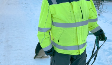 Leteaksjon, Vestskogen | – Jeg ville gå rundt å lete. Jeg har kjent henne i 30 år - Tønsbergs Blad