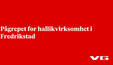 Pågrepet for hallikvirksomhet i Fredrikstad