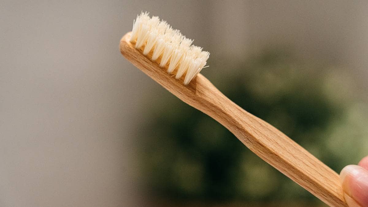 Tannbørste av svinebust, tannbørste med svinehår