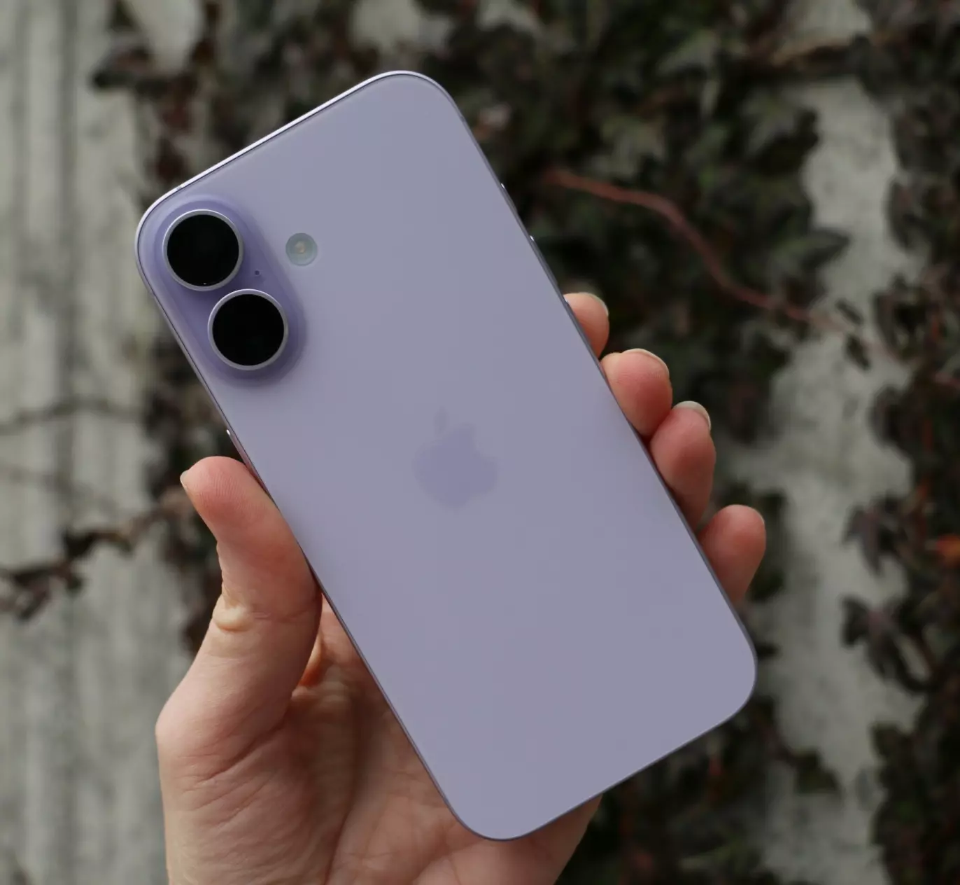 FARGEKLATT: iPhone 17 kommer i en ny, frisk lavendelfarge, med matt glass og aluminiumsramme som gir en delikat, nesten luksuriøs finish. Foto: Kirsti Østvang