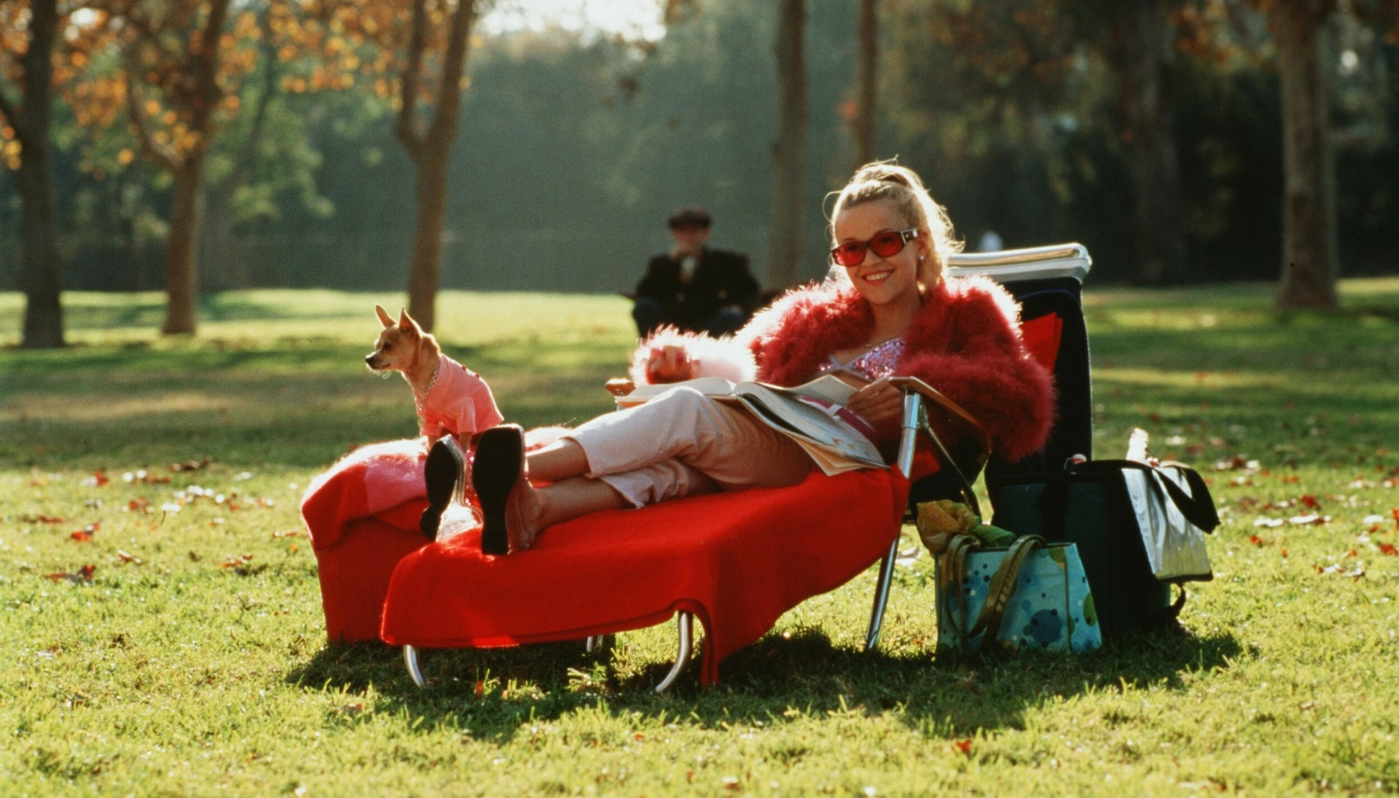 Reese Witherspoon i filmen «Legally Blonde» fra 2001. En film hvor bøker og kunnskap spiller en sentral rolle. Foto: NTB