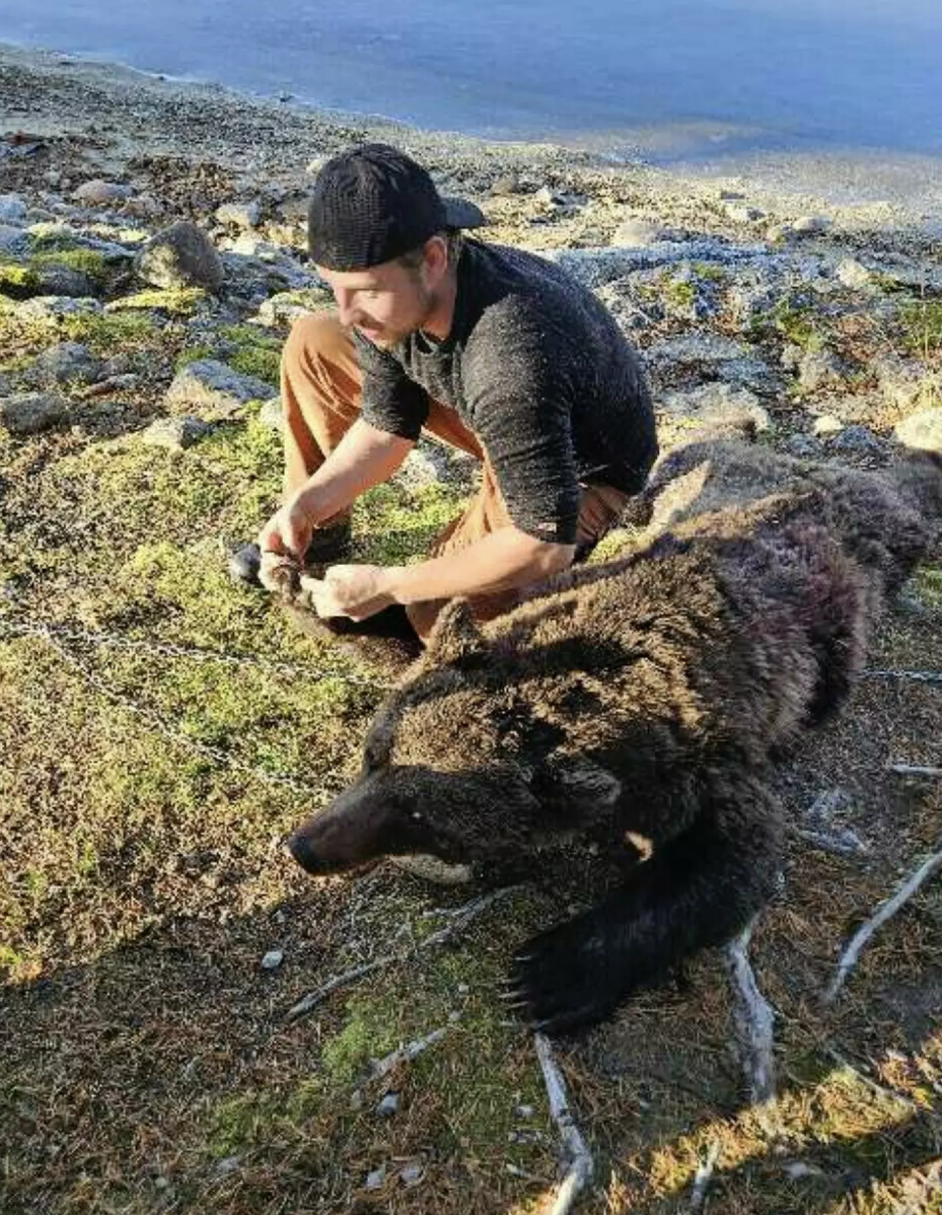 BEVIS: Isak Dreyer med det som skal være den drepte bjørnungen på jakt. Foto: Politiet