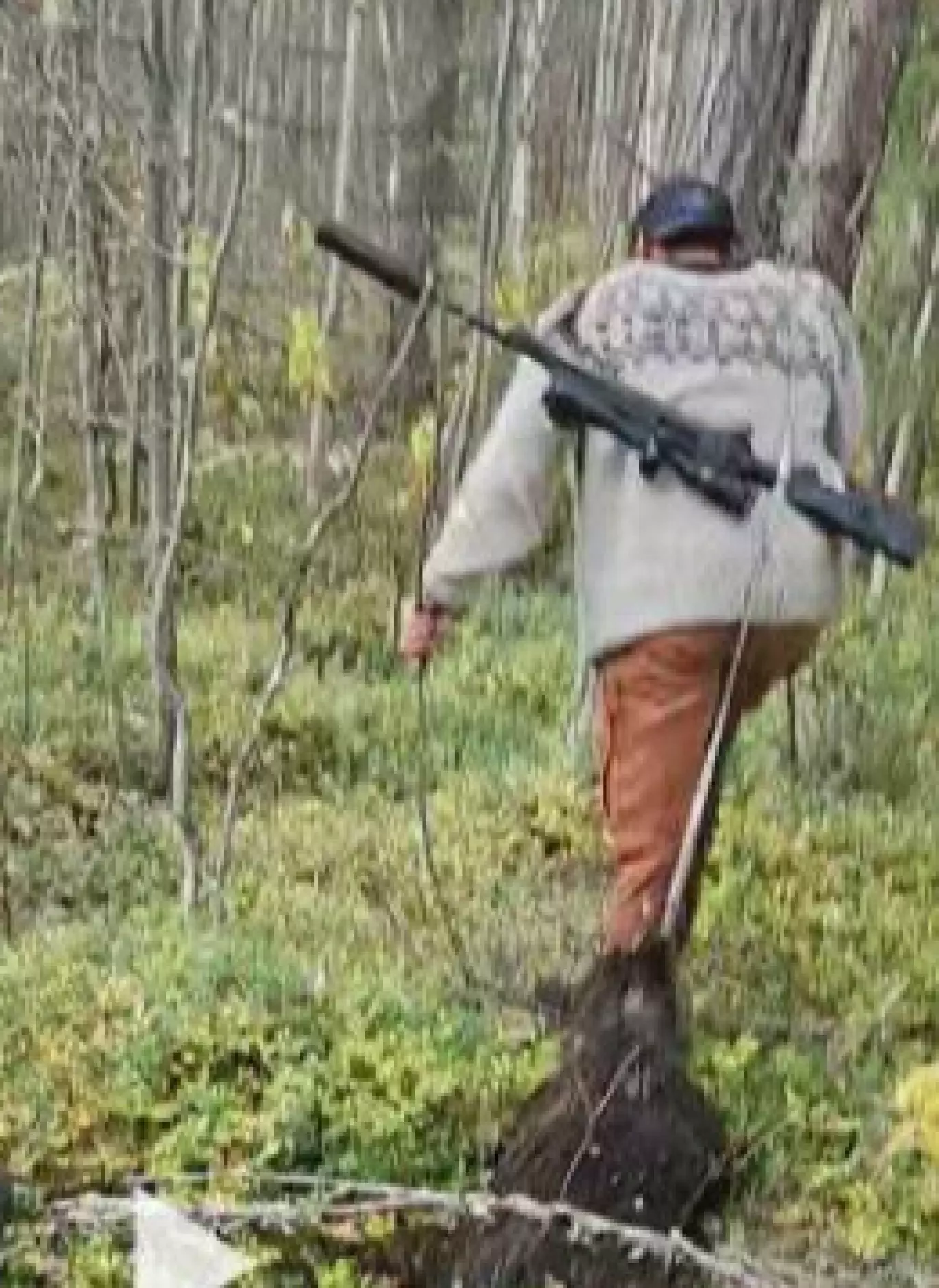 BEVIS: Skjermbildet av denne videoen viser det som skal være Dreyer som drar bjørnungen med seg gjennom skogen. Foto: Politiet