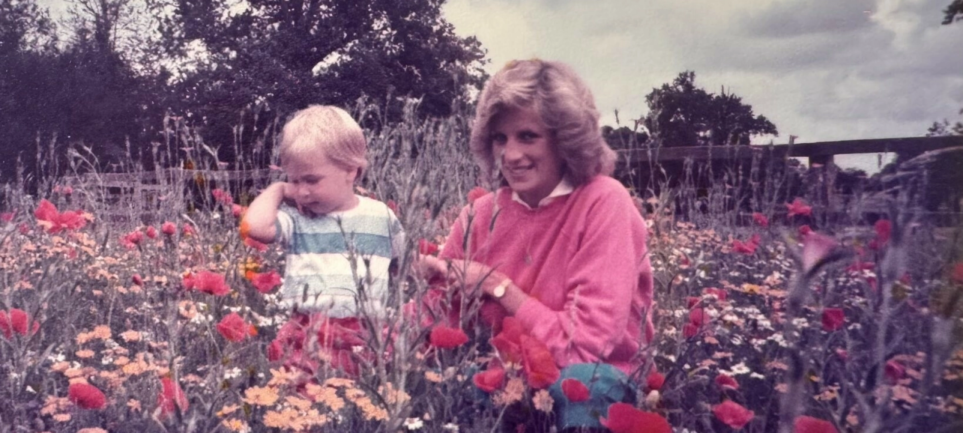 Hyller Diana med usett bilde