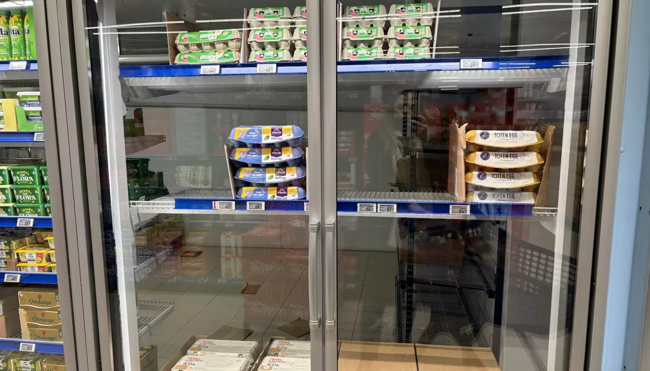ULIKE MERKER: Rema 1000 sier de skal ha de rimeligste økologiske Prior-eggene, men de var ikke i butikk, og det var heller ingen hyllepriser som indikerte dette, så her valgte vi Kolonihagen-eggene. Det utgjør nesten halve prisforskjellen mot prisvinner Kiwi. Foto: Elisabeth Dalseg
