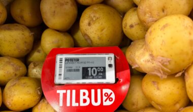 Priskrig, Kronemarked | Her blir Kiwi og Rema knust på pris