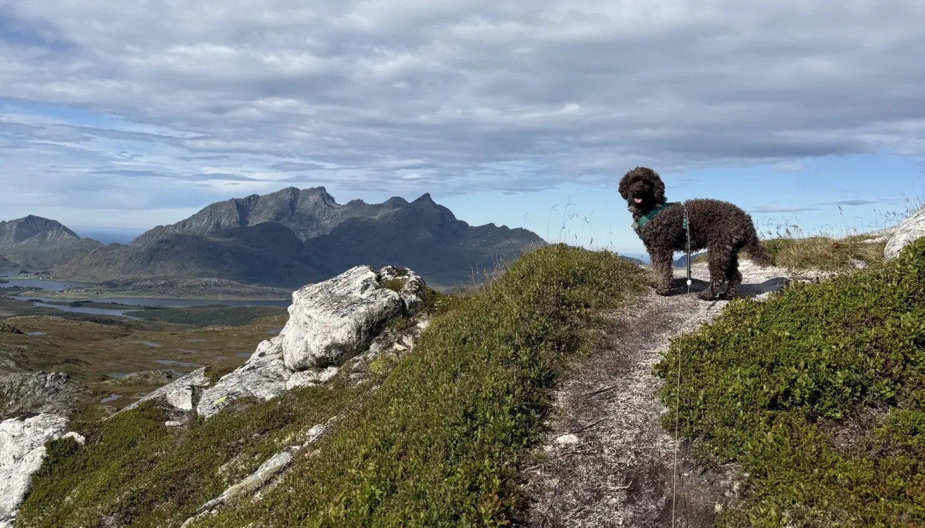 en tursti i lofoten som er ordentlig og ikke gjørmete