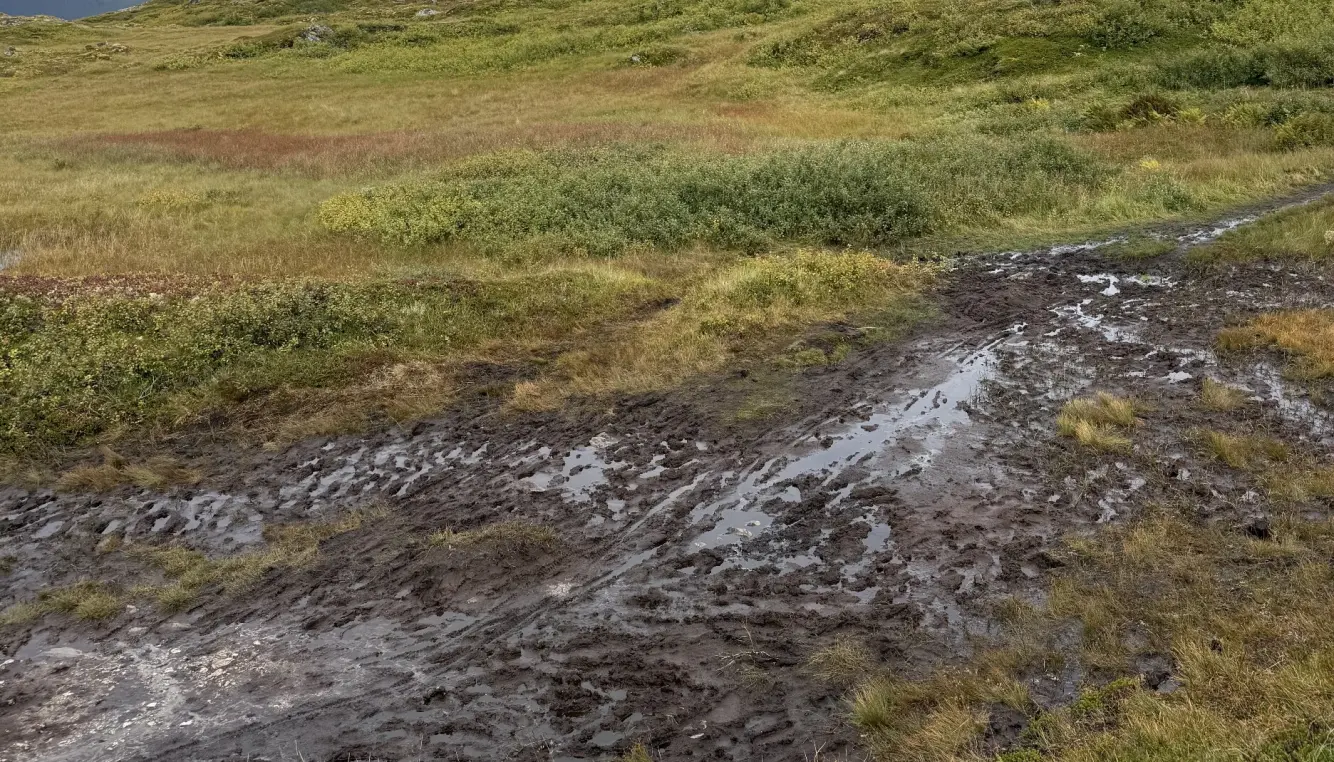 Gjørmete turstier i lofoten