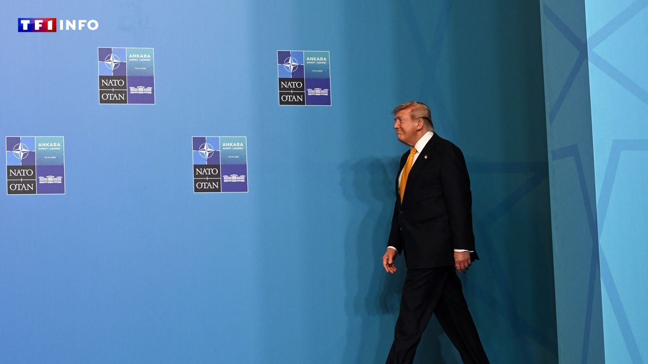 Du Groenland à l'Espagne, Trump multiplie les critiques contre ses alliés en plein sommet de l'Otan