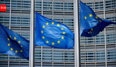 Europe's age identification app that EU chief told world 'will keep our children safe' hacked in 'under 2 minutes'; researcher tells what’s very wrong with the app