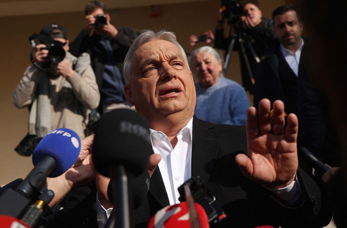 How Hungary’s Magyar Plans to Unwind Orbán’s Graft, From Ads to Zebras