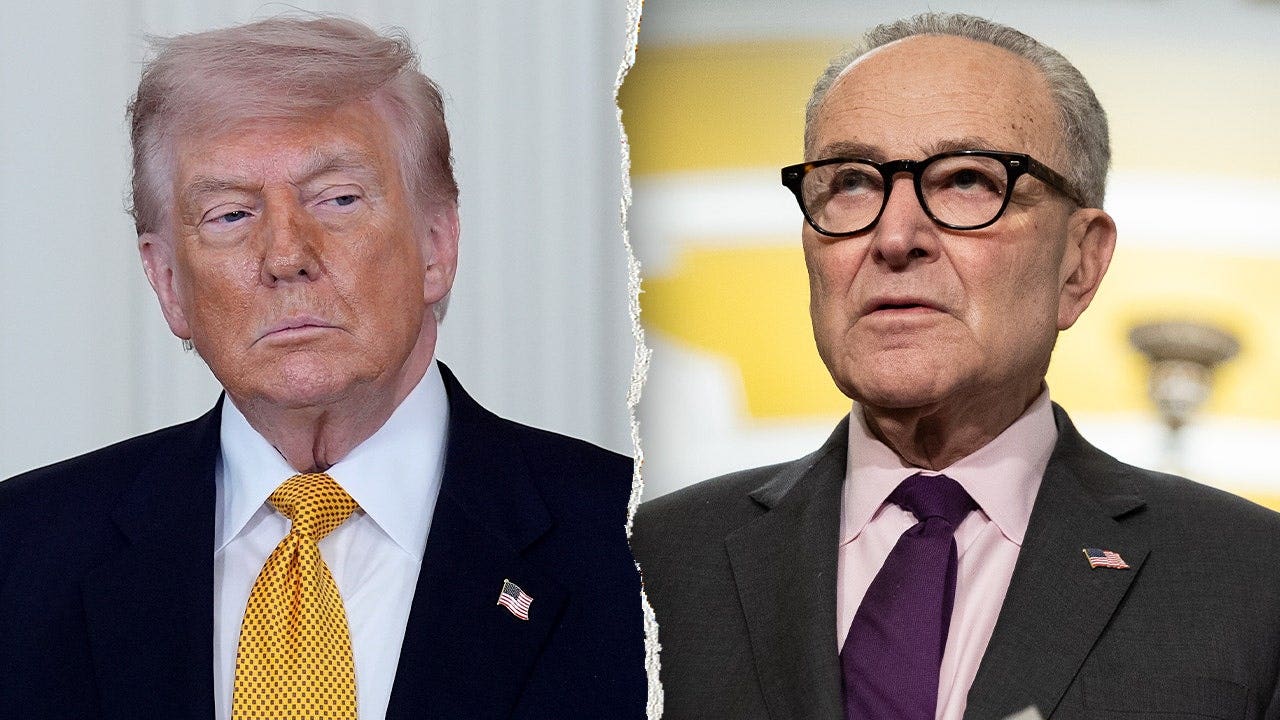 Trump accuses Chuck Schumer's new elections task force of voter suppression