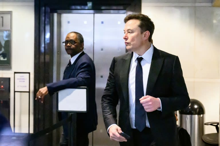 Elon Musk will control more than 82 percent of SpaceX voting shares and there is no designated successor (JOSH EDELSON)