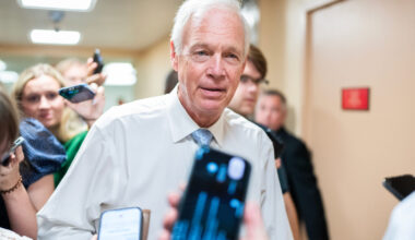 Sen. Ron Johnson, R-Wis., talks with reporters in the Capitol on Friday.