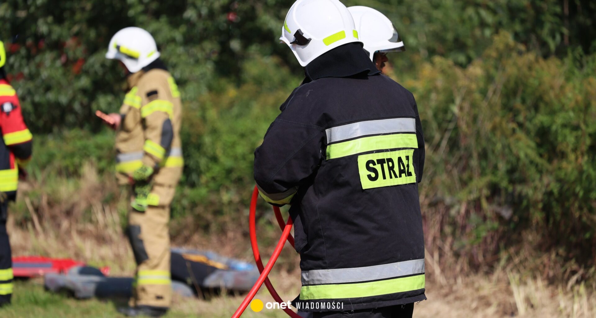 Tragiczna akcja usuwania gniazda owadów. Nie żyje strażak