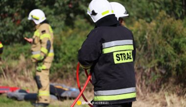 Tragiczna akcja usuwania gniazda owadów. Nie żyje strażak