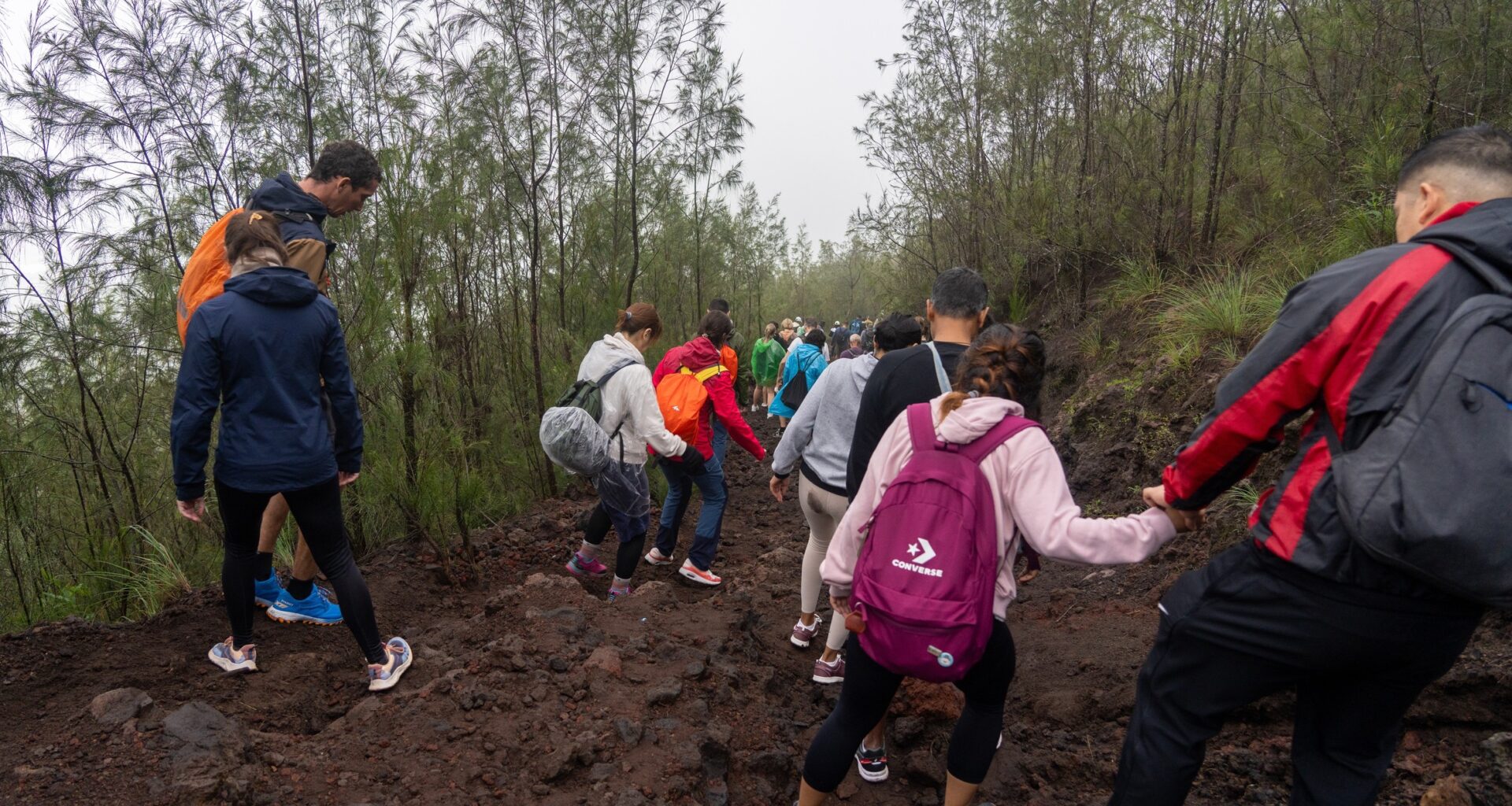 Pies pogryzł 15 turystów na popularnych szlakach w Indonezji