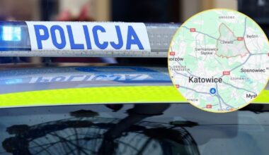 Zaatakował taksówkarza maczetą. Chwile grozy w Czeladzi - Onet
