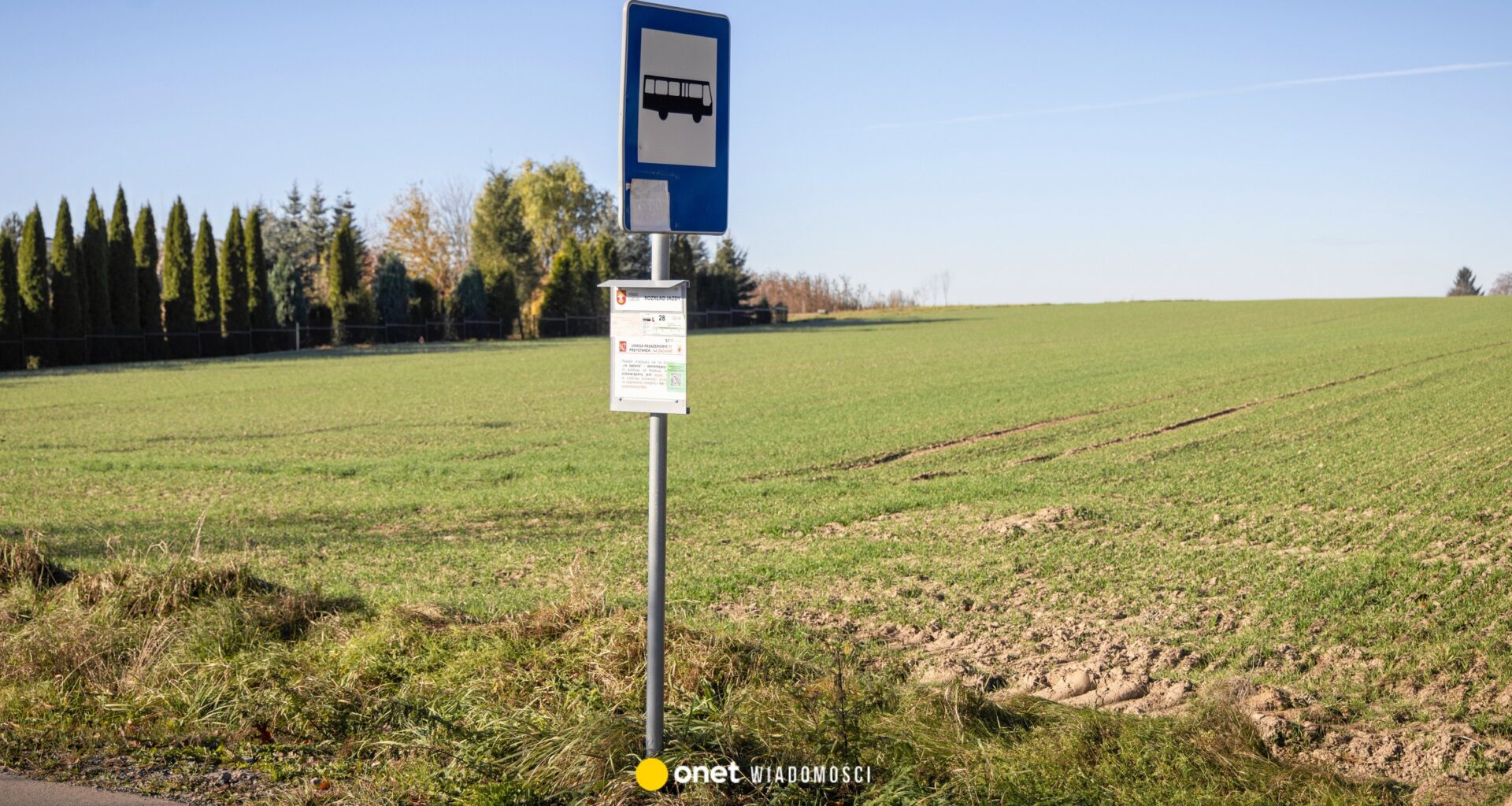 Młodzi Polacy w pułapce. Psycholożka: rodzą się frustracja i wstyd