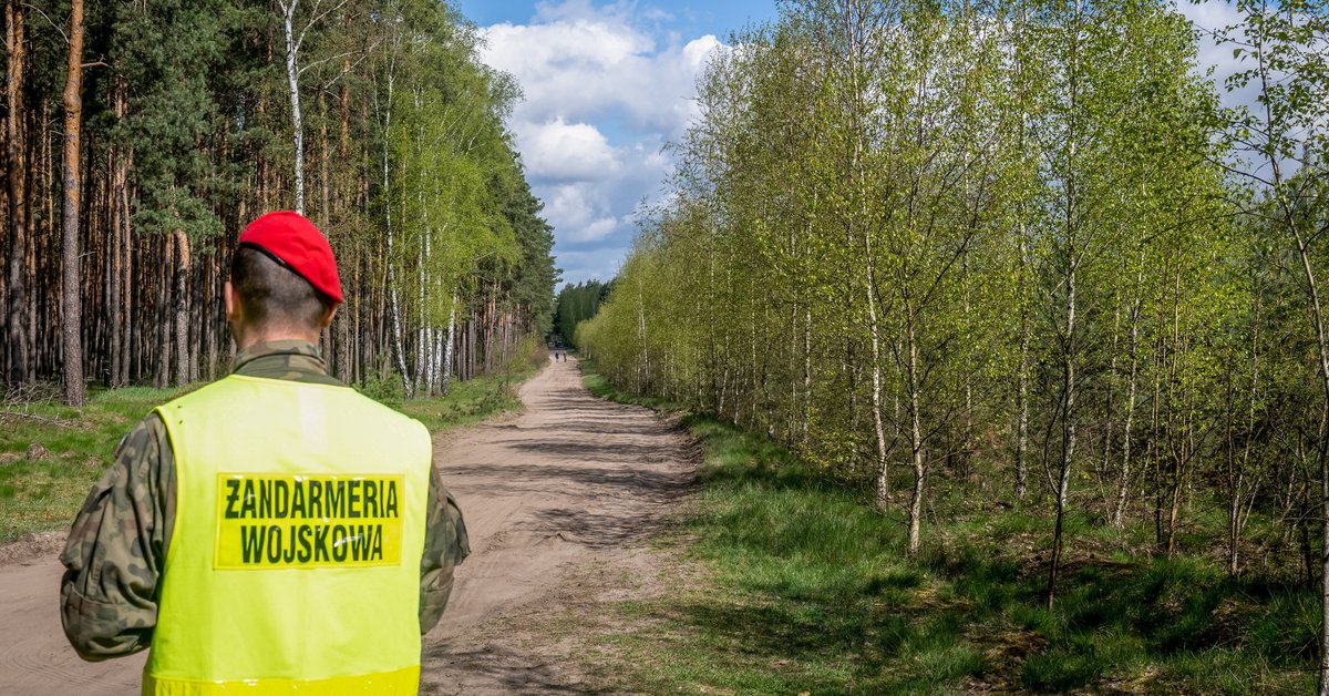 Dron znaleziony koło Działdowa. Trwa akcja służb - Onet