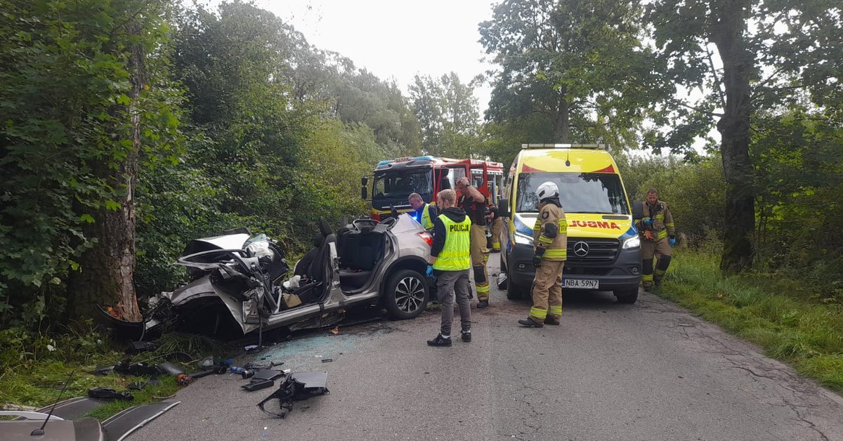 Tragedia na mazurskiej drodze. Zginął 30-letni mężczyzna, trwa reanimacja niemowlaka - Onet