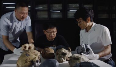Homo sapiens wyodrębniał się ponad milion lat temu? Interesujące wyniki badań czaszki Yunxian 2