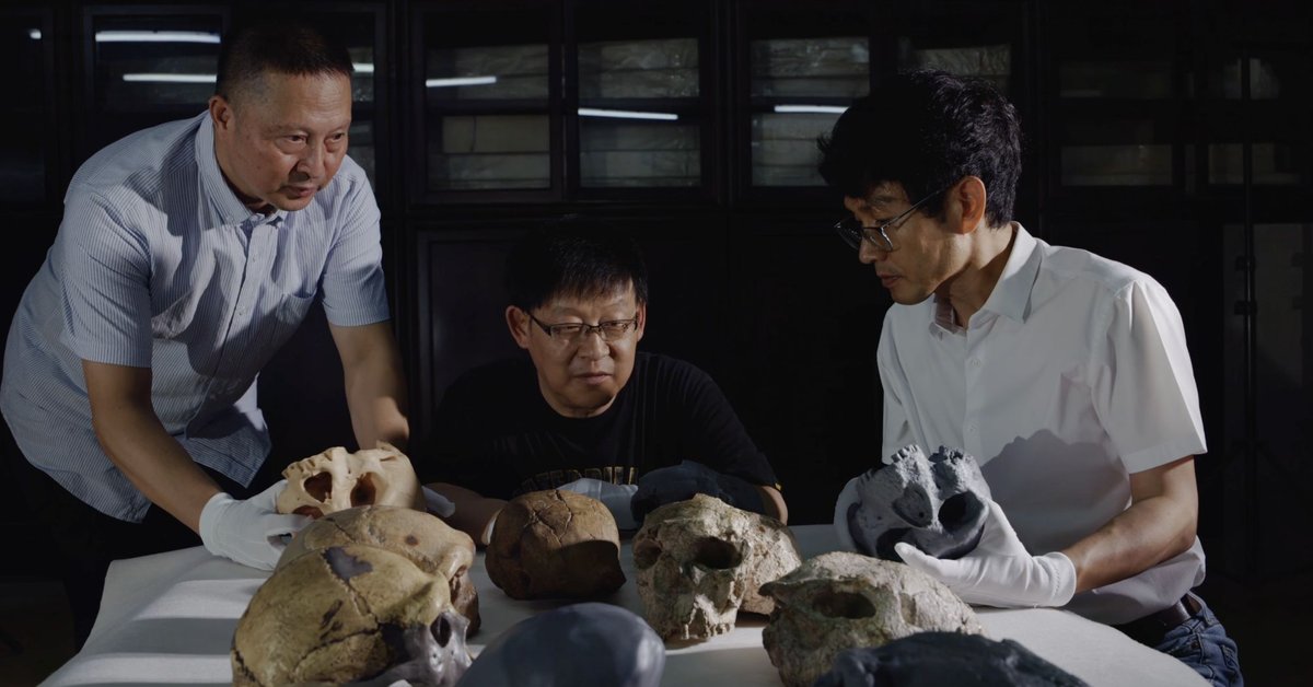 Homo sapiens wyodrębniał się ponad milion lat temu? Interesujące wyniki badań czaszki Yunxian 2