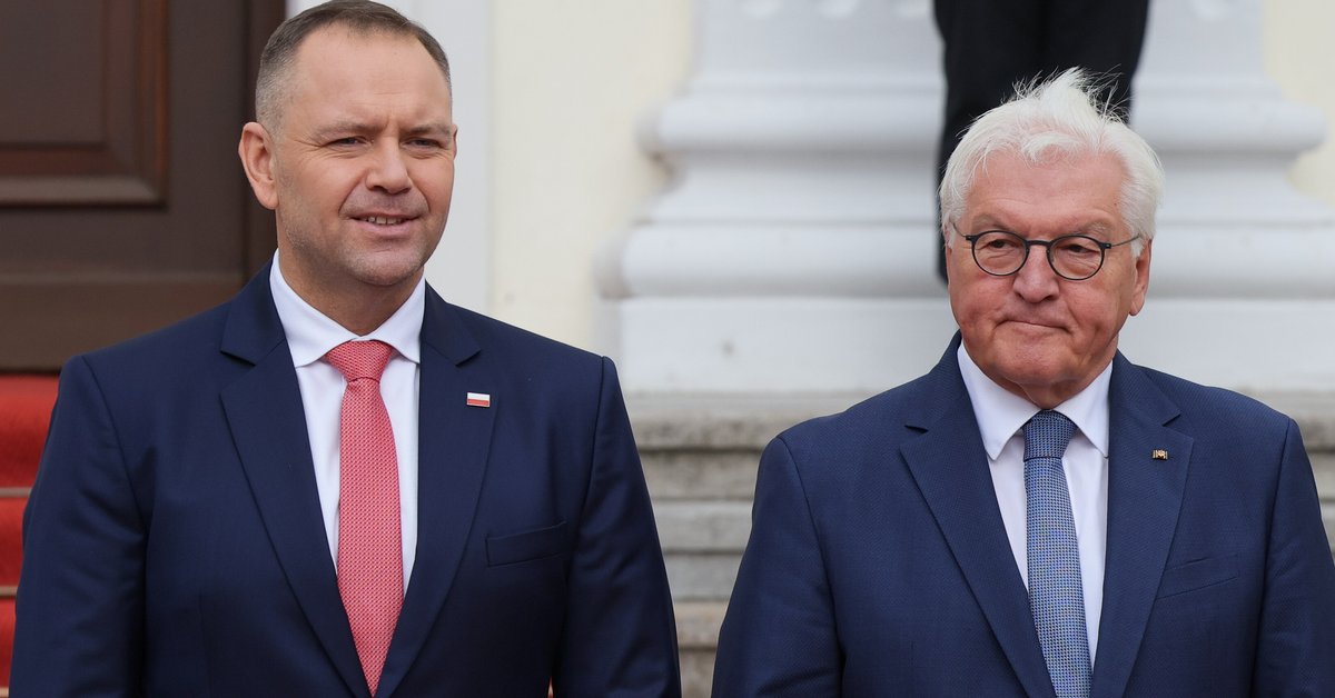 Karol Nawrocki zaproponował Niemcom układ. Media ujawniają reakcję prezydenta Steinmeiera