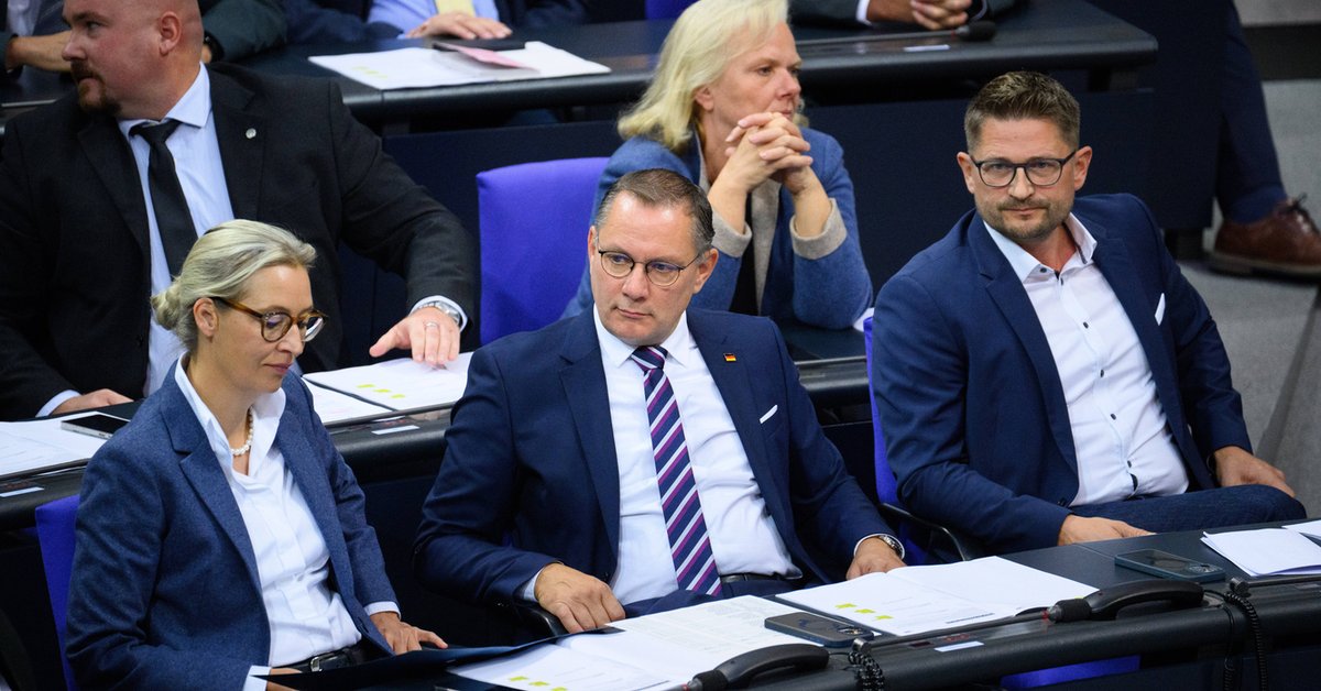 Potężna porażka AfD. Nie wygrali z żadnym z konkurentów. "Wynik mobilizacji wyborców"