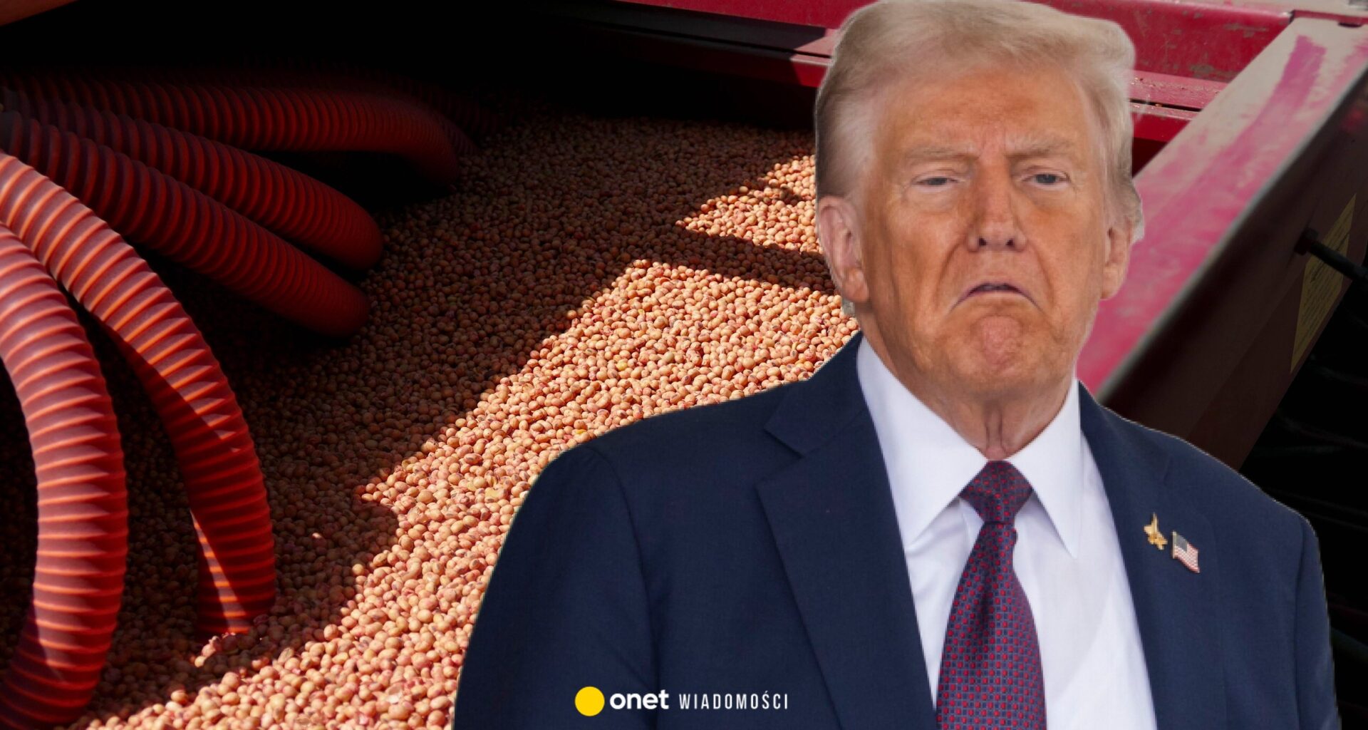 Chiny użyły przeciwko Donaldowi Trumpowi broni, którą sam dał im do ręki. "Jak możemy się dziwić? To wypróbowany scenariusz"