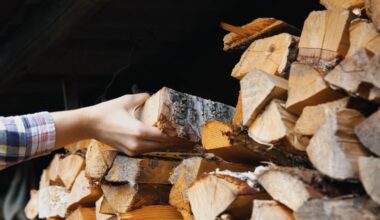 Przejdź na stronę główną INTERIA.PL