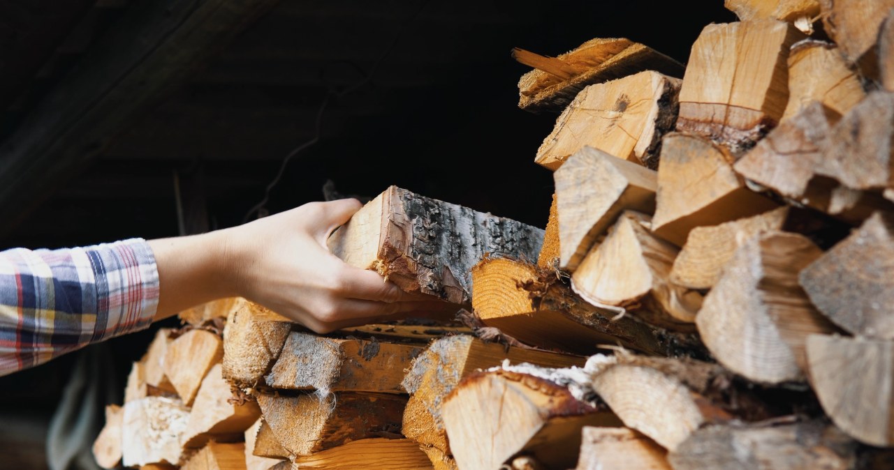 Przejdź na stronę główną INTERIA.PL