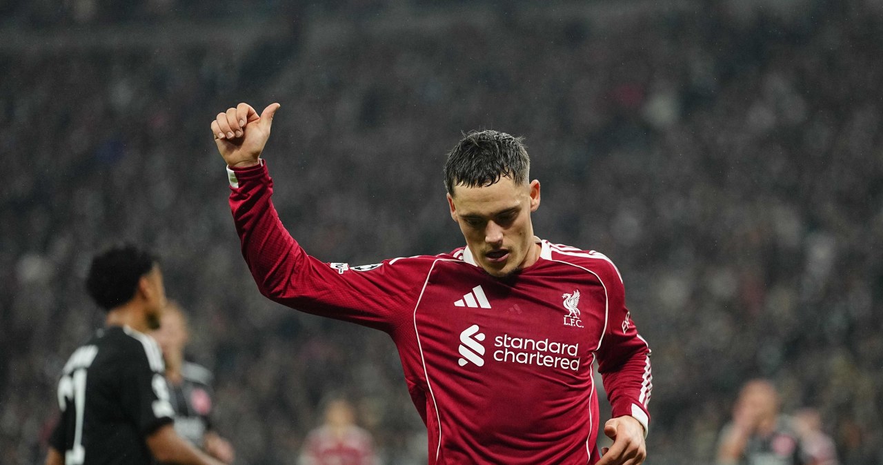 Cody Gakpo w barwach Liverpoolu