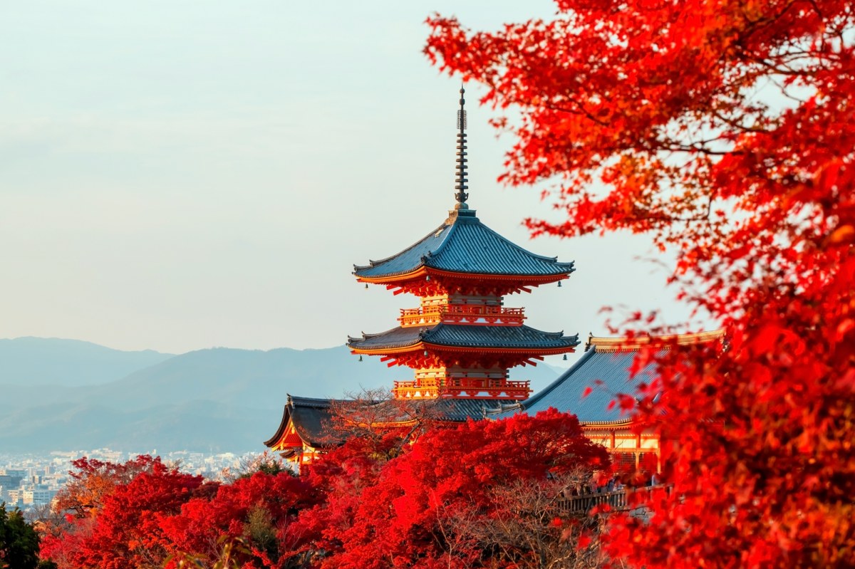 Wyższe opłaty turystyczne w Japonii od 2026 roku
