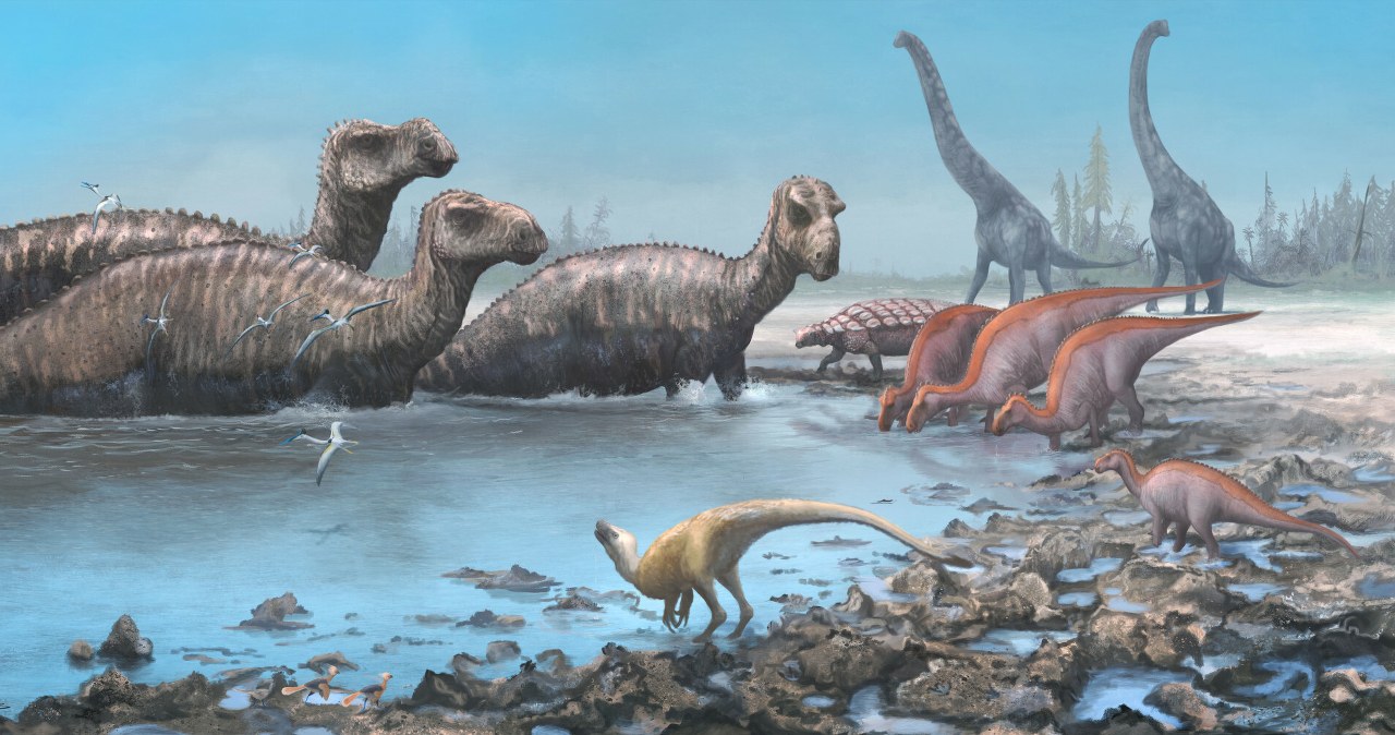 Przejdź na stronę główną INTERIA.PL