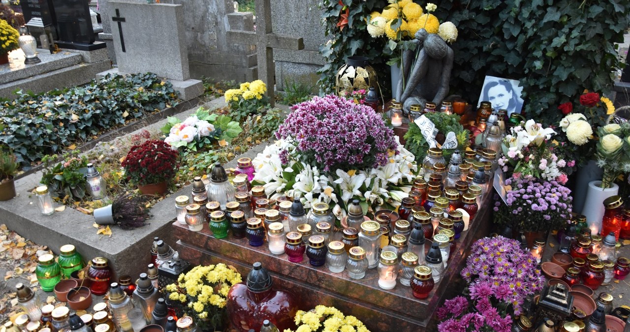 Przejdź na stronę główną INTERIA.PL